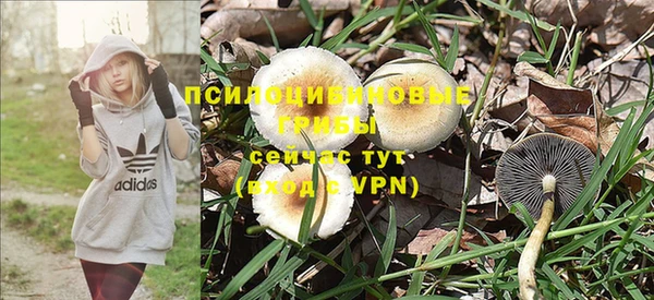 таблы Абаза