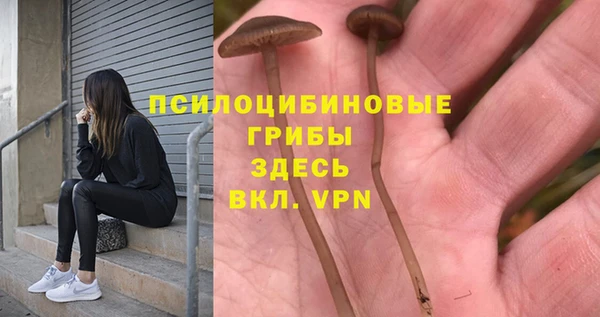 спайс Абинск