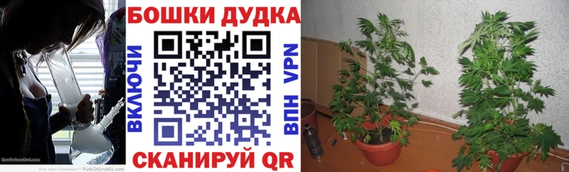 Марихуана план  Нелидово 