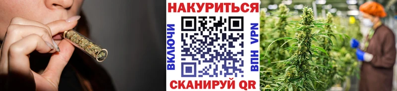 Шишки марихуана семена Нелидово